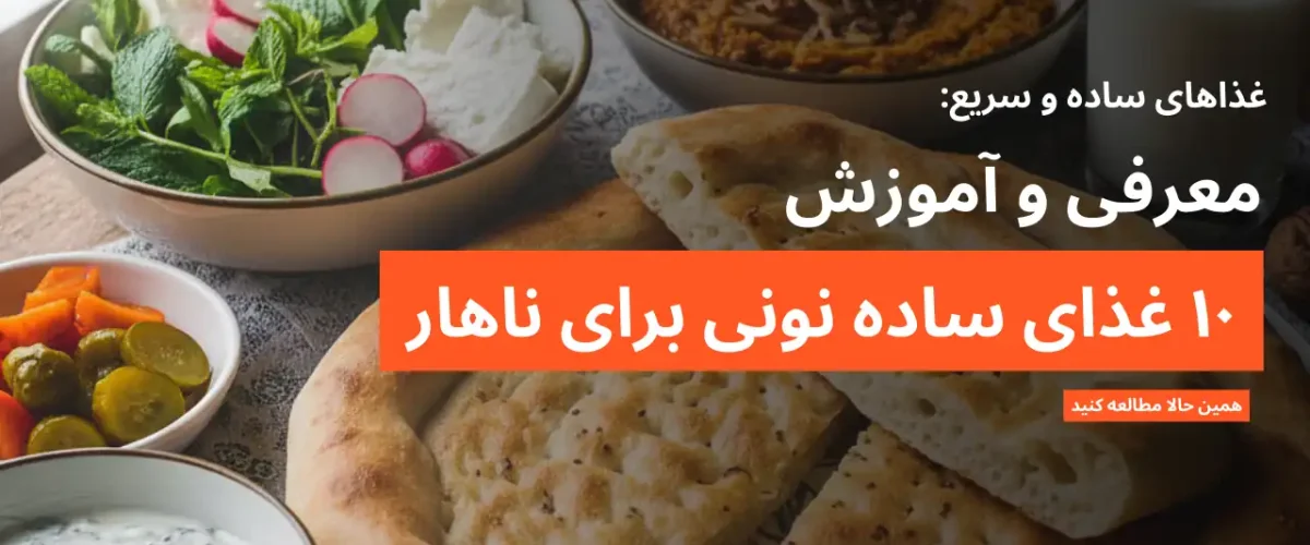 معرفی و آموزش ۱۰ ناهار ساده نونی